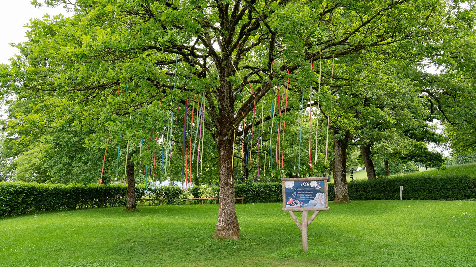 der grüne Nuggibaum im Spielpark