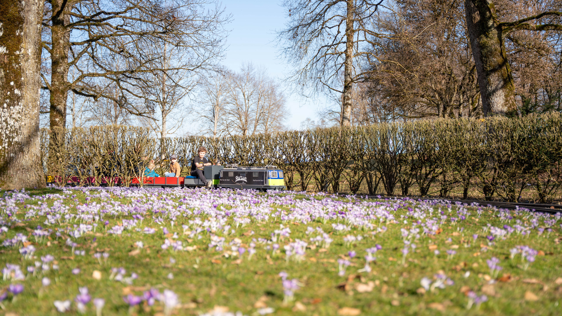 The miniature train runs through the fun park in the spring