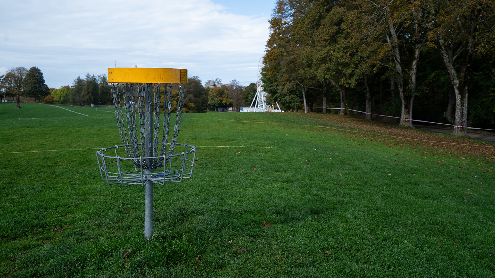 Disc Golf Koarb