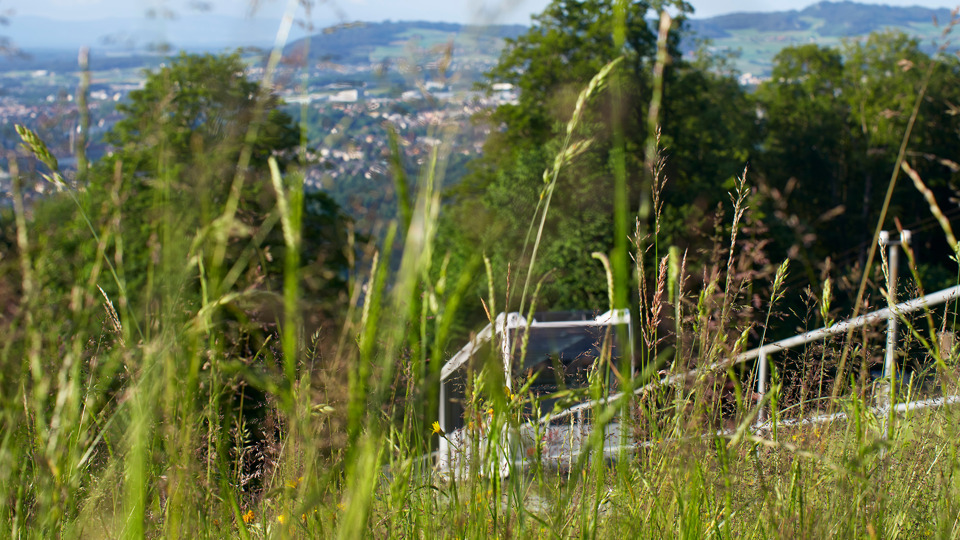 Eine Aufnahme aus hohem Gras der Gurtenbahn und der Stadt Köniz.