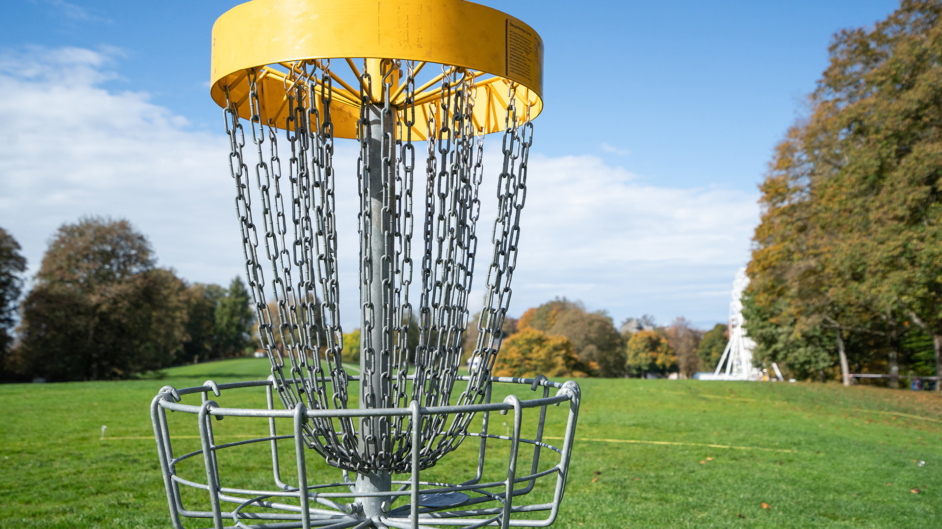 Discgolfkorb auf grüner Wiese auf Gurten