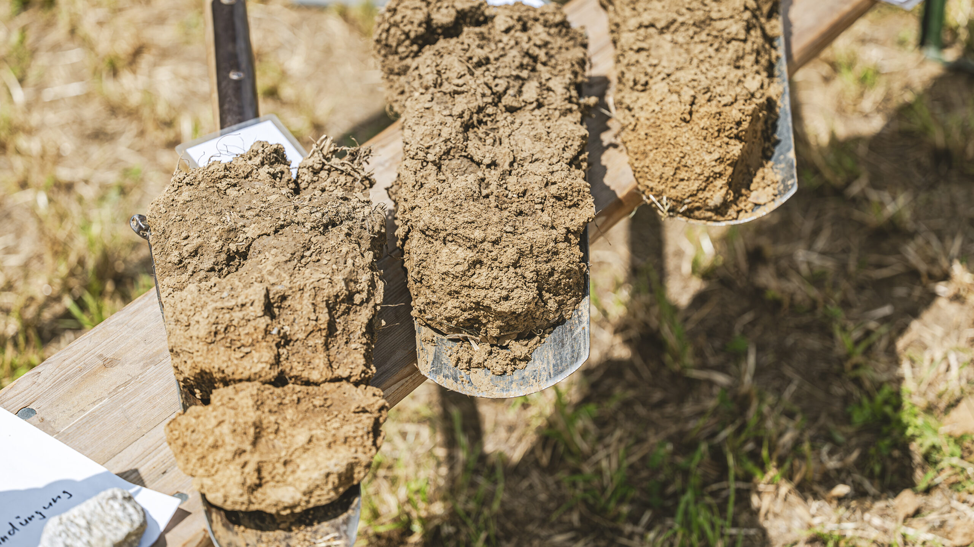 Three shovels full of dirt are lying side by side on a bench