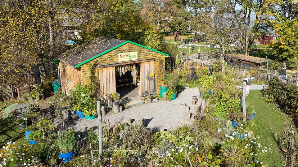 Das Gurtengärtli im Frühherbst