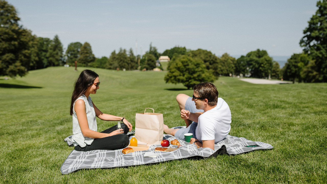 Zwei Personen welche auf einer Picknickdecke in einer grünen Wiese den Brunch to go geniessen.