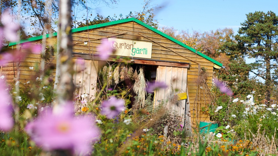Das Häuschen des Gurtengärtli.