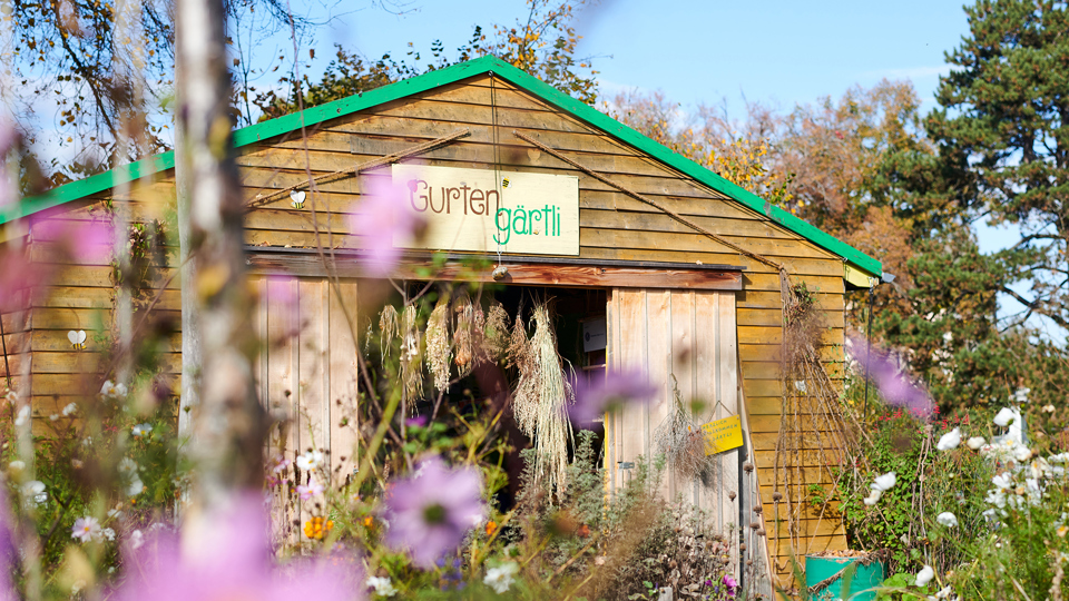 Das Gurtengärtli mit dem Haus, wo das Gartenmaterial verstaut ist
