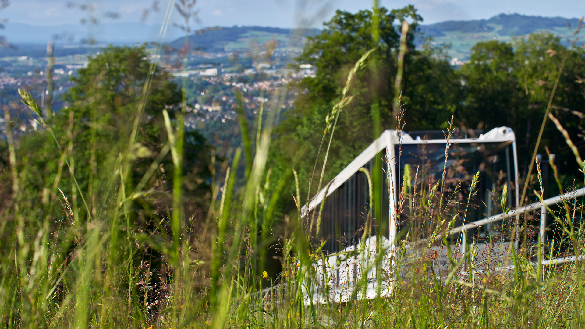 Gurtenbahn hinter hohem Gras der Weide
